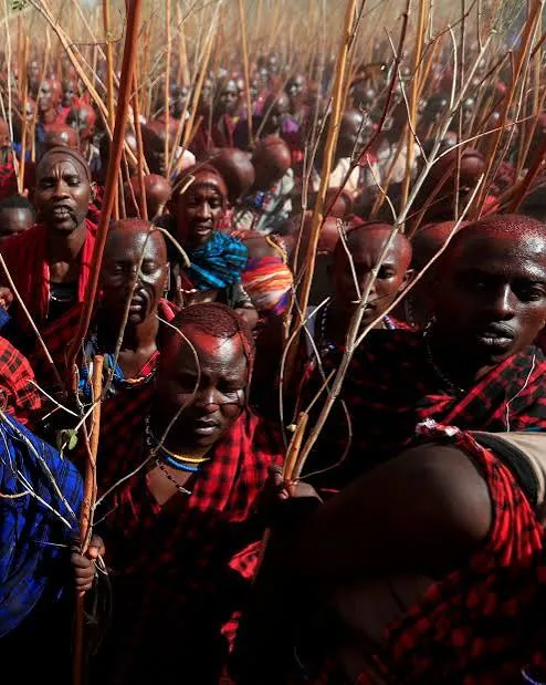Maasai community members gathered in traditional assembly in Narok.
